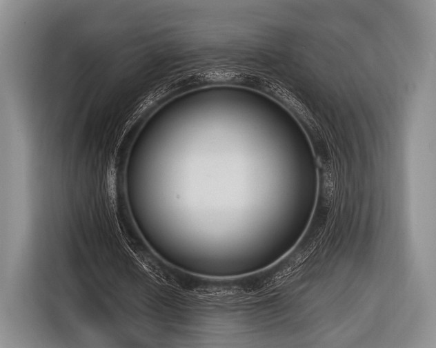 X0000116420626200912150959