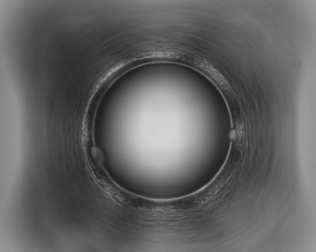 X0000116420628200912150959