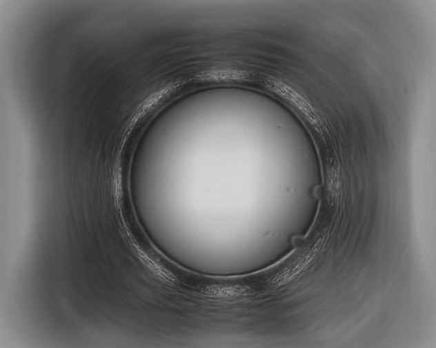 X0000116420629200912150959