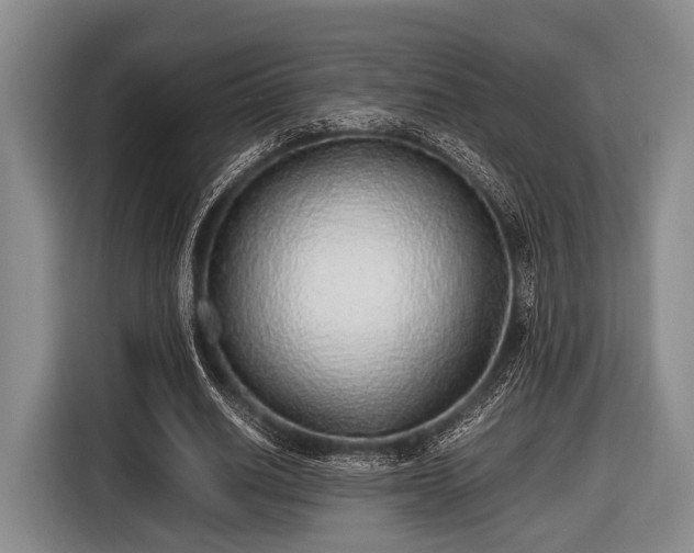 X0000116420630200912150959