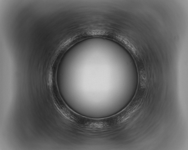 X0000116420631200912150959