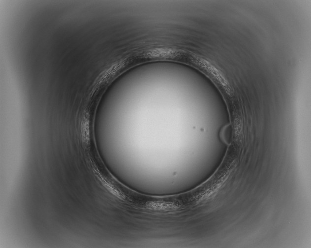 X0000116420633200912150959