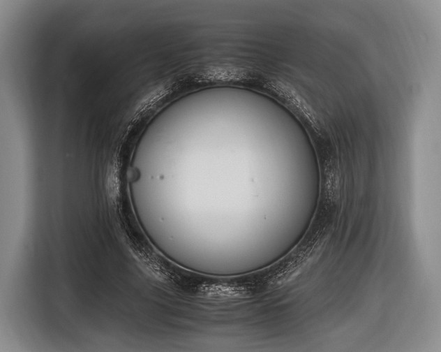 X0000116420635200912150959
