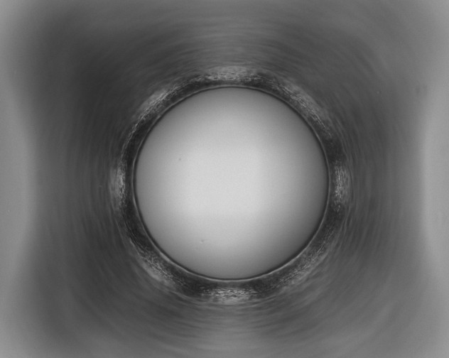 X0000116420636200912150959