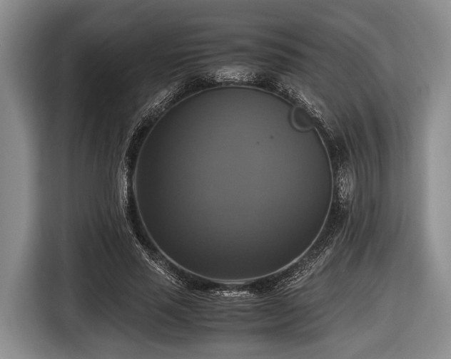 X0000116420637200912150959