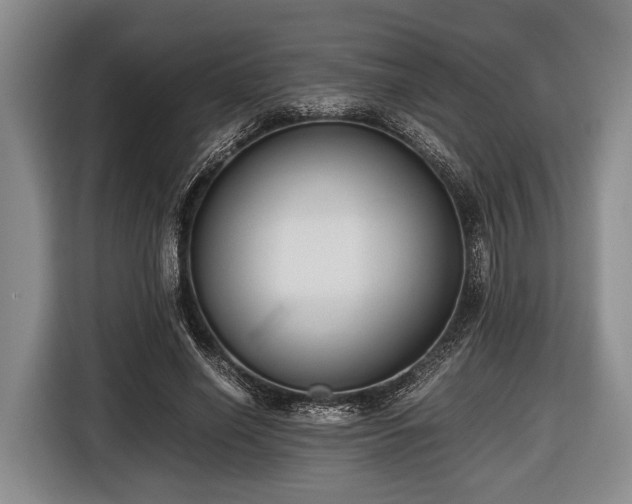 X0000116420638200912150959