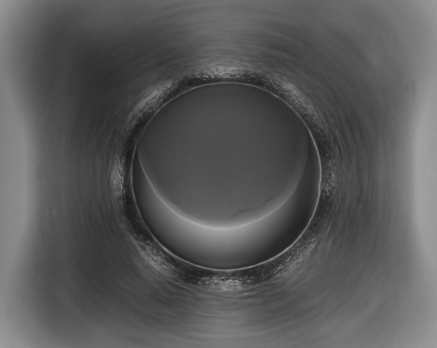 X0000116420640200912150959