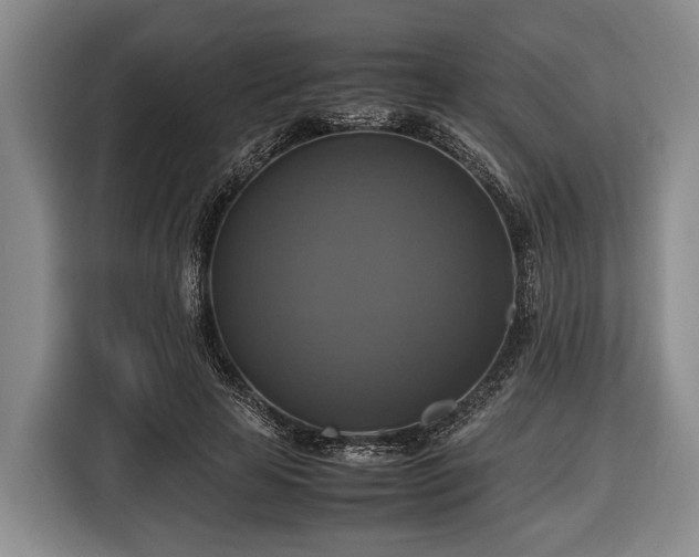 X0000116420641200912150959