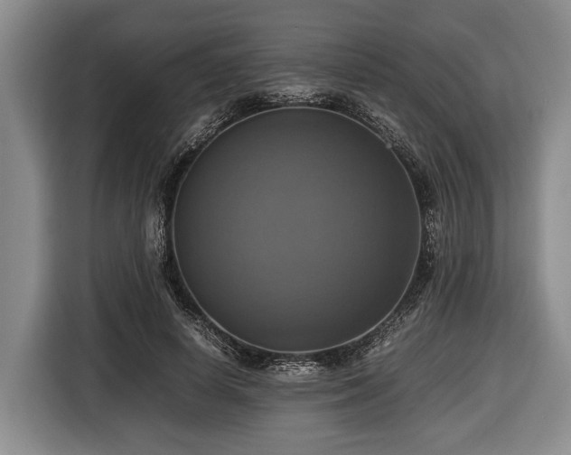 X0000116420642200912150959