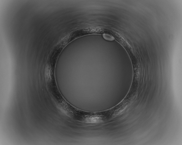 X0000116420643200912150959