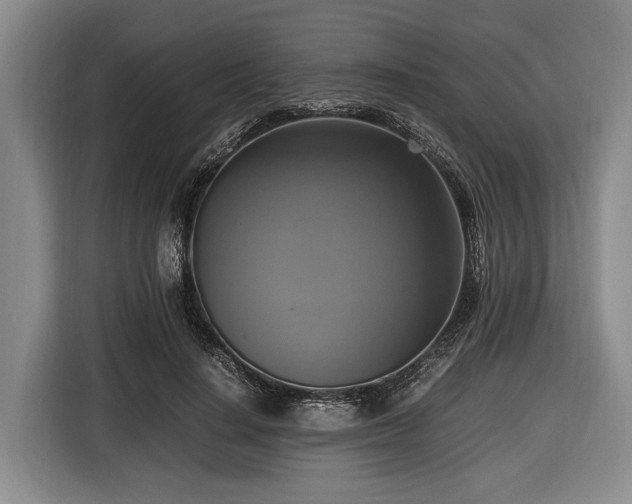 X0000116420644200912150959
