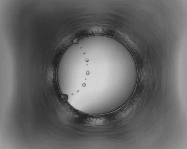X0000116420645200912150959