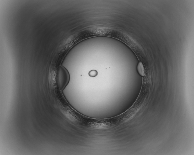 X0000116420646200912150959
