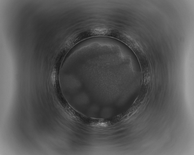 X0000116420647200912150959