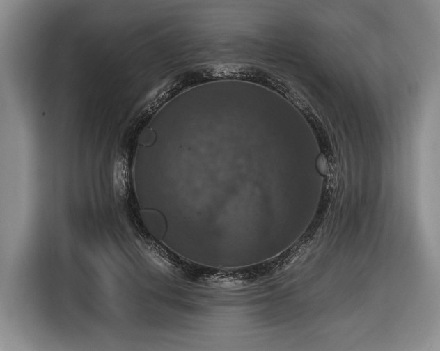X0000116420648200912150959