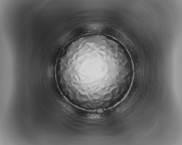 X0000116420649200912150959