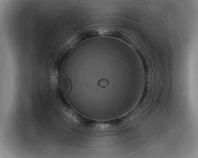X0000116420650200912150959