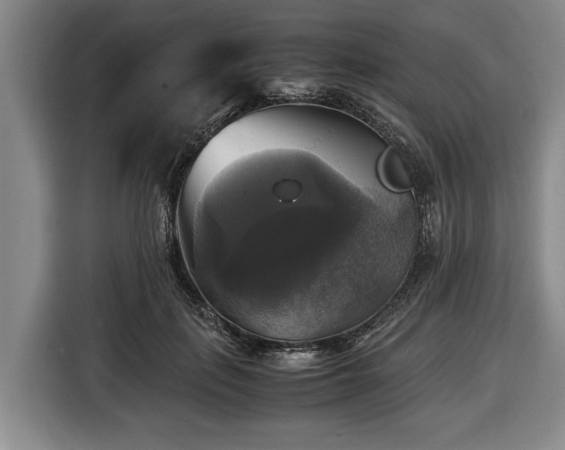 X0000116420651200912150959