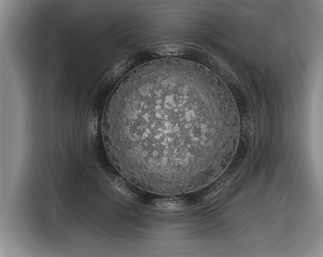 X0000116420652200912150959