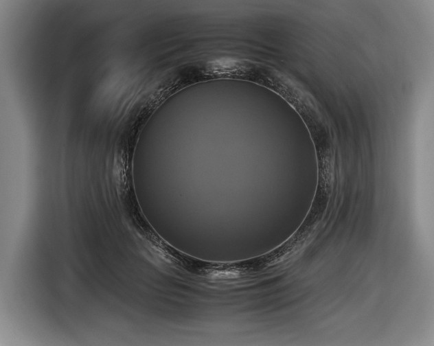X0000116420653200912150959