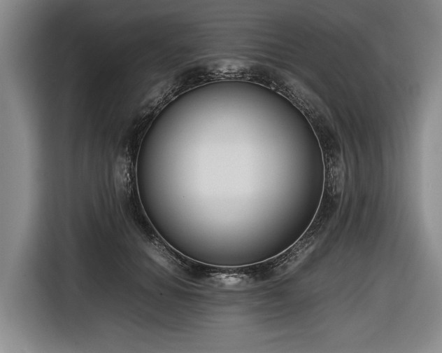 X0000116420654200912150959