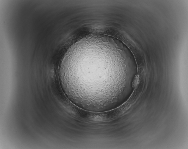 X0000116420655200912150959
