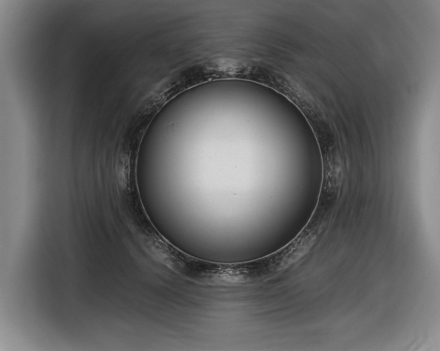 X0000116420656200912150959