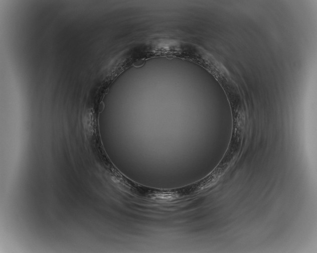 X0000116420659200912150959