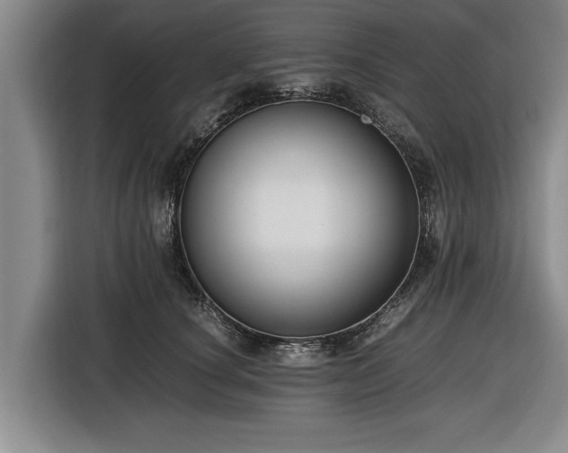 X0000116420660200912150959
