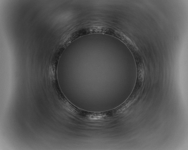 X0000116420661200912150959