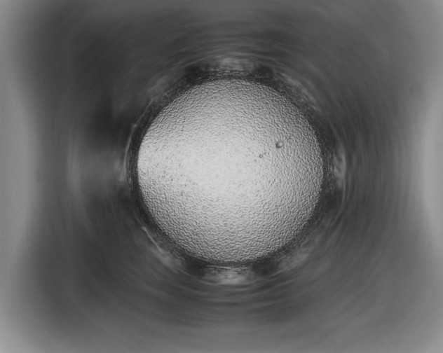X0000116420663200912150959