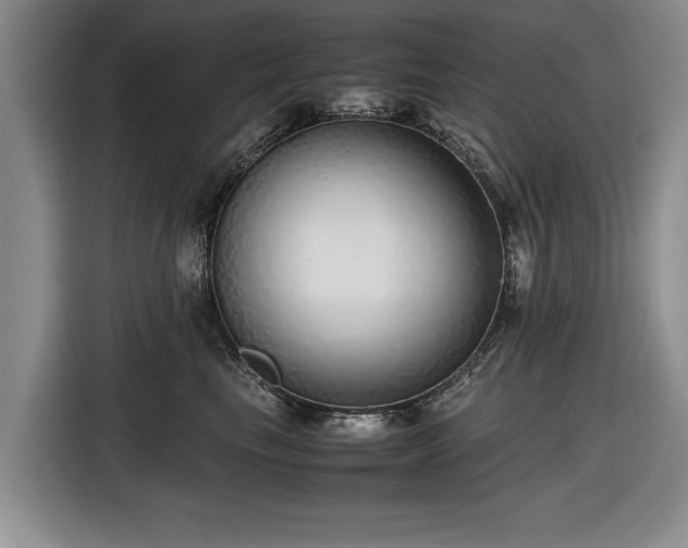 X0000116420665200912150959