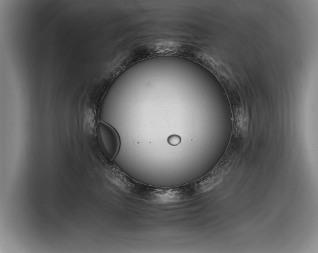 X0000116420667200912150959