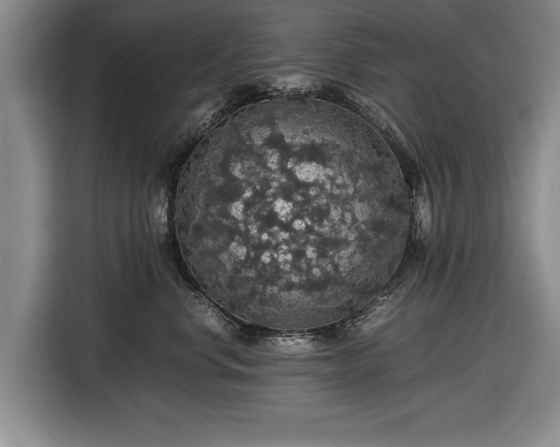 X0000116420668200912150959
