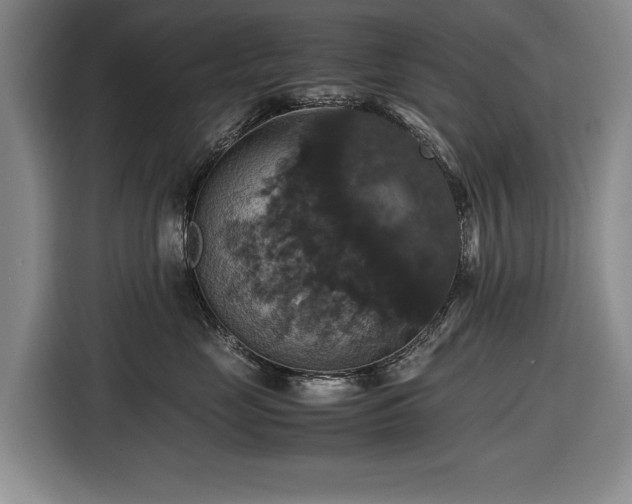 X0000116420669200912150959