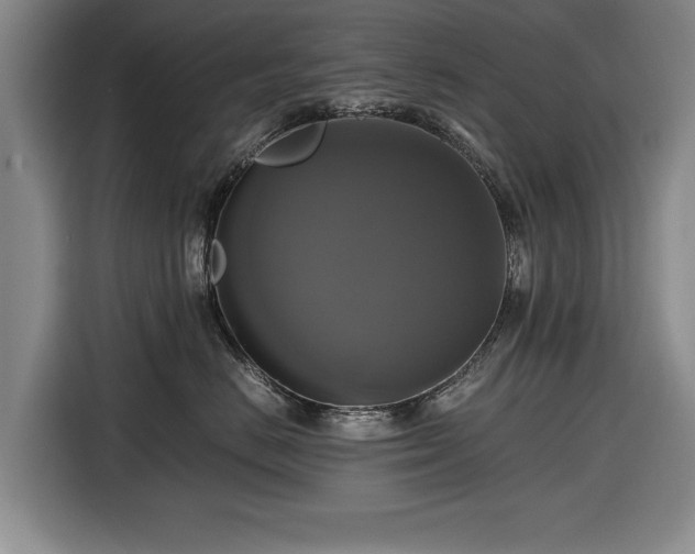 X0000116420670200912150959