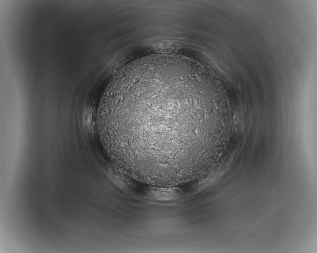 X0000116420671200912150959