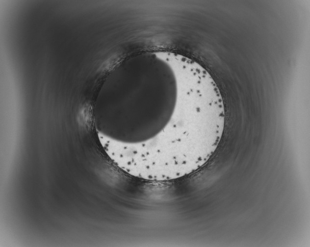 X0000116420672200912150959
