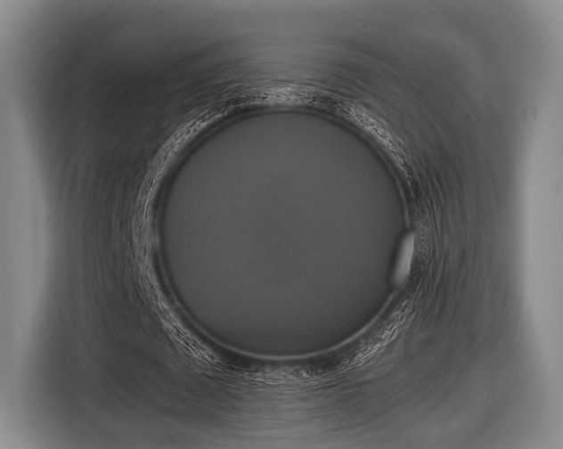 X0000116420673200912150959