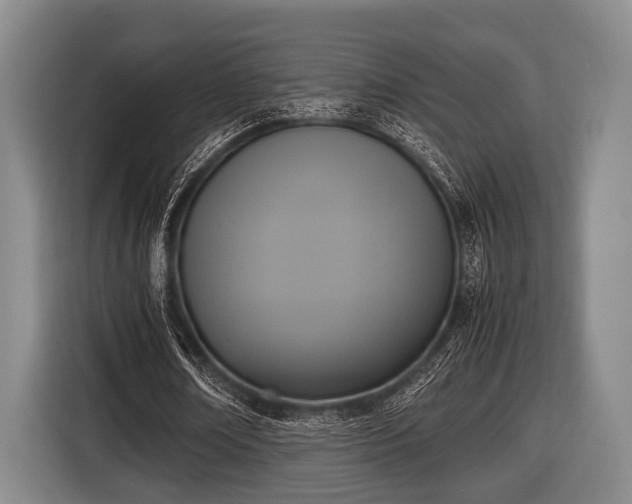 X0000116420674200912150959