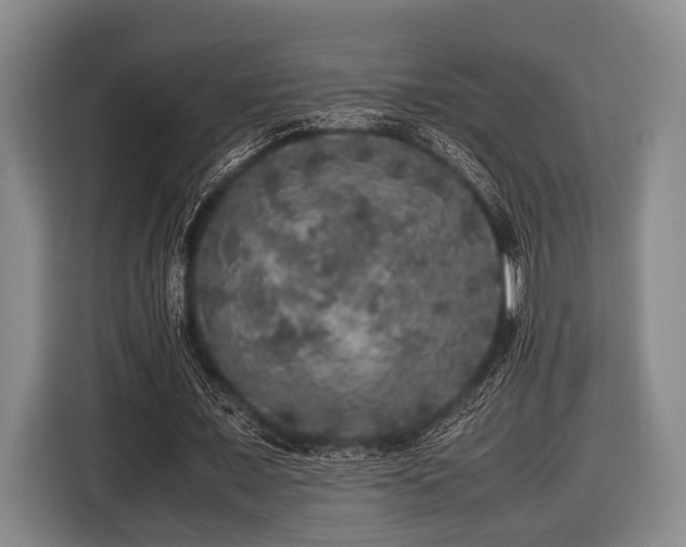 X0000116420675200912150959