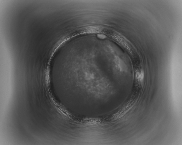 X0000116420676200912150959