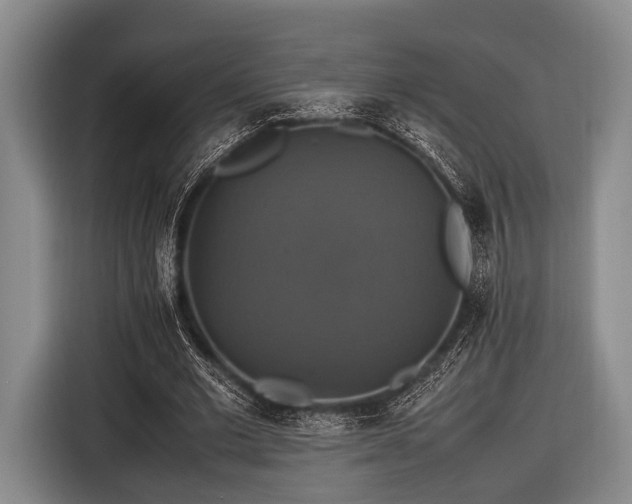 X0000116420677200912150959