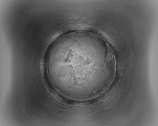 X0000116420679200912150959
