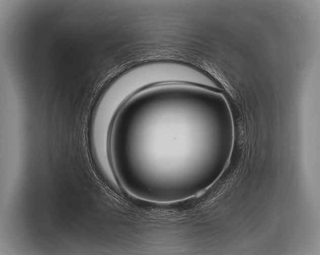 X0000116420681200912150958