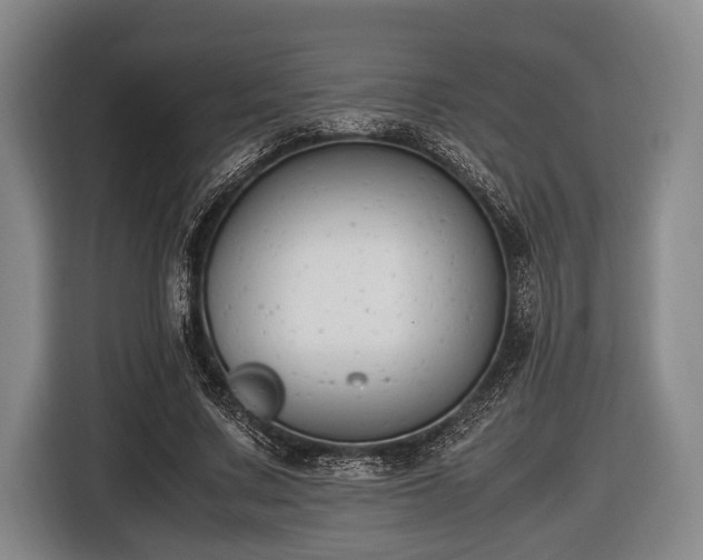 X0000116420683200912150958