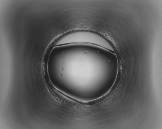 X0000116420684200912150958