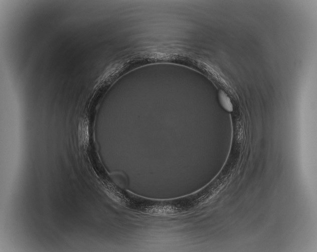 X0000116420685200912150958