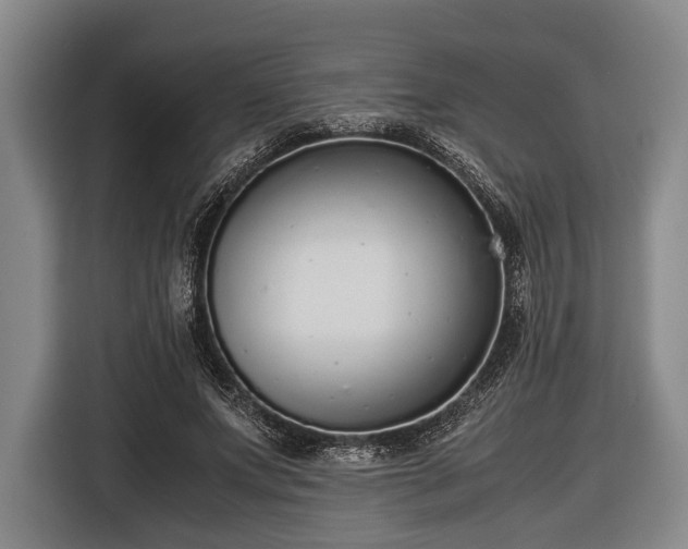 X0000116420687200912150958