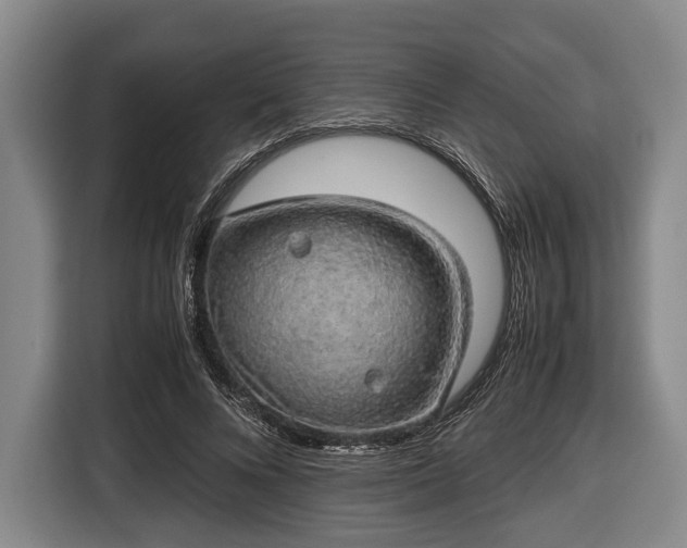 X0000116420688200912150958